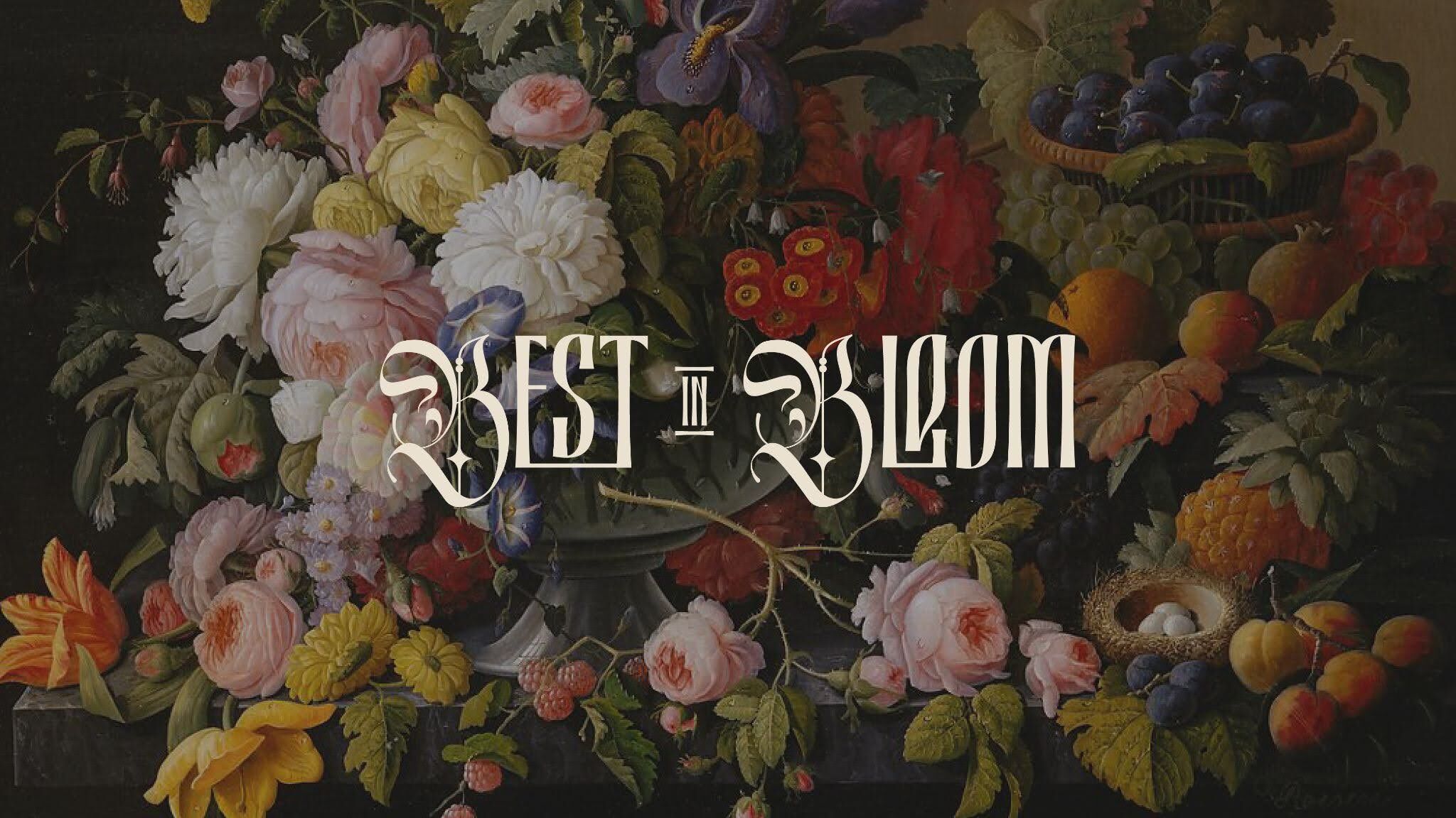 Best in Bloom: Celebrating Our Field's Top Young Talent