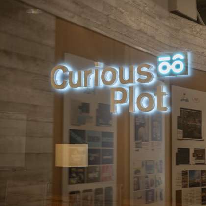 Curious Plot